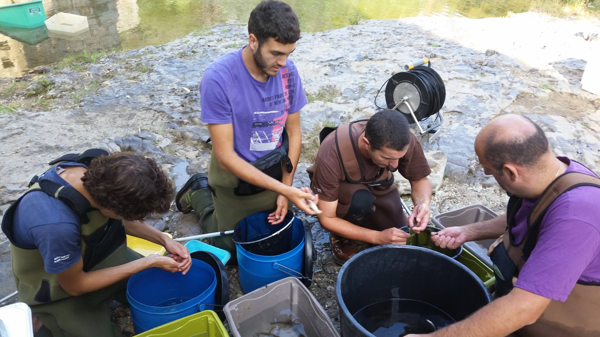 Pêches electriques avec la fédération de pêche du Gard
